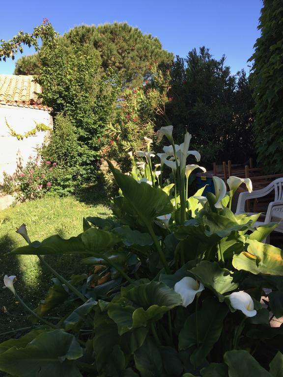 Chez Marydidou : Chambres D'Hotes Istres Exterior foto